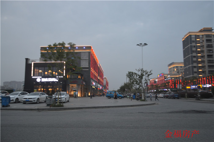 DSC_0078.JPG